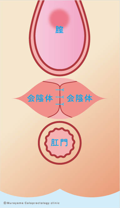 ②手術方法