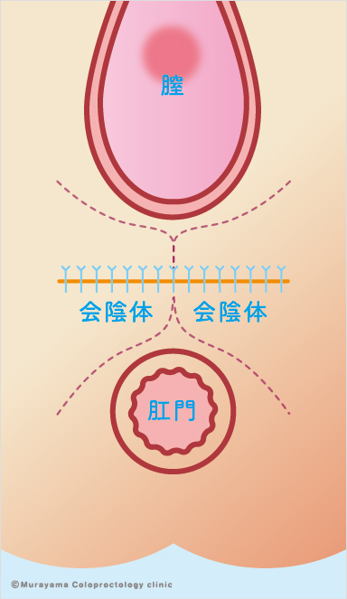 ③手術方法