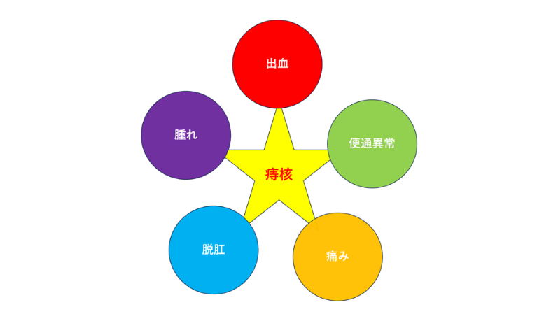 痔核の説明図