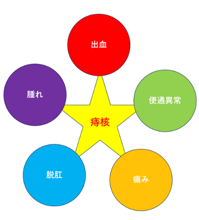 痔核の説明図